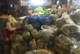 Giá hành lá 110.000 đồng/kg, làm sao hạ nhiệt?