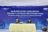 ĐHĐCĐ PJICO: Doanh thu quý I đạt 1.267 tỷ đồng, tiếp tục chia cổ tức 12% tiền mặt