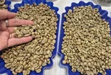 Giá cà phê hôm nay 21-4: Robusta bật tăng 3 con số