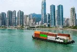 Việt Nam vừa đón tin vui từ Brazil