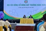 TGĐ Hóa chất Đức Giang (DGC): HĐQT mới sẽ kế thừa ý chí và chỉ đạo của Chủ tịch cũ