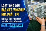 Loạt ‘ông lớn’ Bảo Việt, Vingroup, Hòa Phát, FPT sở hữu núi tiền mặt và tiền gửi khổng lồ tại ngân hàng