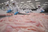 Xuất khẩu nông, lâm, thủy sản tiếp tục tăng trưởng nhưng áp lực vẫn còn lớn
