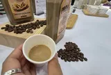 Giá cà phê hôm nay 17-5: Vượt Brazil, cà phê Việt Nam trở thành nguồn cung số 1 cho Tây Ban Nha