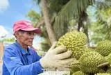 Lưu ý quan trọng về xuất khẩu nông sản sang Trung Quốc từ 1/6