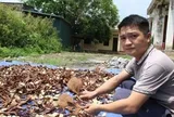 Nông dân Lạng Sơn trồng thử loại ‘cây vàng’, nay bán tới 700.000 đồng/1kg, cuộc sống ‘lên đời’ từ đây