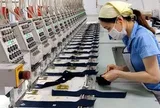 Từ ngày 1-7, mức lương đóng BHXH cao nhất của người lao động là 50,6 triệu đồng/tháng