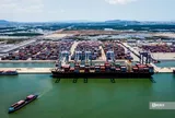 Cước biển tăng tới 80%, hàng Việt sang Nam Mỹ chịu áp lực cạnh tranh lớn