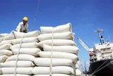Láng giềng 'ôm' kho gạo 5 triệu tấn, một nước Đông Nam Á vẫn tăng mạnh mua gạo Việt