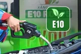 Hiệp hội ô tô xe máy lên tiếng cảnh báo về những dòng xe nguy cơ hỏng động cơ do xăng E10