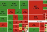 Cổ phiếu họ Vingroup lao dốc, VN-Index giảm gần 10 điểm dù ngân hàng giữ nhịp