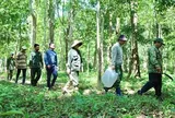 Truy quét "thòng lọng tử thần" giữa đại ngàn Tây Nguyên