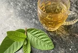 Cơ thể thay đổi thế nào nếu uống lá ổi liên tục vài tuần?