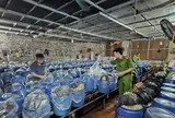 Phát hiện 3 cơ sở dùng hóa chất 6-BAP sản xuất gần 1.000 tấn giá đỗ