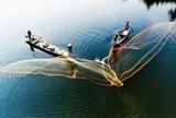 Khối nội tung hàng trăm nghìn tỷ vào chứng khoán Việt Nam, cân lại lực bán ròng từ khối ngoại