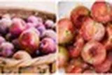 Những người không nên ăn quả mận
