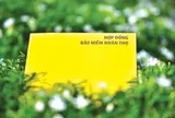 Thêm 'tân binh' gia nhập thị trường bảo hiểm nhân thọ Việt Nam