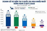 Mua ô tô điện nhiều thứ 2 Đông Nam Á, người Việt có lựa chọn khác biệt với các nước láng giềng