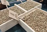 Giá cà phê hôm nay, 24-6: Arabica tăng nóng