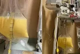 Người phụ nữ 32 tuổi "máu trắng đục như sữa" vì thứ quen thuộc trong tủ thuốc