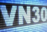 Một cổ phiếu chứng khoán có thể được thêm vào rổ VN30, loạt quỹ ETF dự kiến gom hàng triệu đơn vị