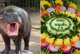 Sở thú Thái Lan mở hội mừng sinh nhật 2 tuổi cho 'ngôi sao' Moo Deng