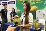 Hàng triệu đơn hàng sầu riêng Việt Nam qua sóng 'livestream' tại thị trường Trung Quốc