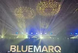 Công ty CP Bluemarq Group mất cổ đông lớn