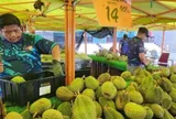 Cuộc chiến sầu riêng: Malaysia chuyển hướng sang đường bộ để quyết vượt Thái Lan