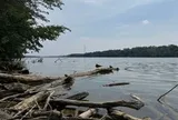 Mỹ: 5 người chết đuối khi cố gắng cứu nhau trên sông ở bang Ohio