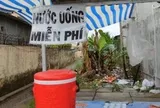 Tiếng gọi giữa lòng thành phố