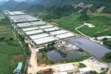 Vụ 5 công nhân tử vong ở trại lợn: 3 công ty chăn nuôi tại xã đều vi phạm về môi trường