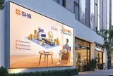 Sinh lời nhàn tênh khác gì với tài khoản thanh toán thông thường?