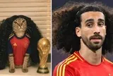 Vì sao 'mèo Cucurella' náo loạn từ TikTok lên Google?