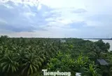 Xem xét trách nhiệm nguyên Phó Chủ tịch tỉnh Bến Tre cũ vì giao đất sai