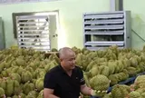 Để nông sản tỷ đô không vỡ trận xuất khẩu: Gian nan tìm 'hộ chiếu'