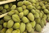 Thêm thị trường tỷ dân đón sầu riêng Việt Nam không rào cản