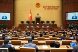Kỳ họp không thường lệ thứ nhất của Quốc hội sẽ xem xét, quyết định những nội dung gì?