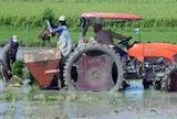Cuba vừa đón tin cực vui, một doanh nghiệp Việt góp công lớn