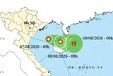 Áp thấp nhiệt đới hình thành ở vịnh Bắc Bộ, bão Dolphin đang quét qua phía nam Nhật Bản