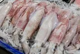 Mực có 5 dấu hiệu này: Cho không lấy, rẻ không mua