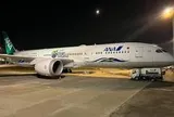 2 ngày trước - 5/8, sân bay Tân Sơn Nhất ghi nhận một máy bay lạ cất cánh