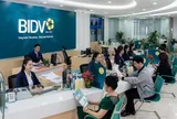 Cho vay BIDV tăng nhanh gấp 3 lần tiền gửi, ngân hàng làm gì để bù nguồn vốn?