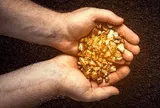 "Đãi cát tìm vàng" từ KQKD quý 2: Gọi tên các "siêu cổ phiếu" tiềm năng với biên lãi gộp tăng trưởng liên tục