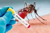 Người dân không chủ quan với dịch sốt xuất huyết