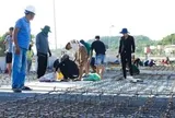Thỏa thuận vận hành và bảo trì tuyến tàu điện đô thị ở Phú Quốc, phục vụ APEC 2027