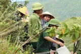Hơn 1.200 người chuyền tay 3.000 tấm bê tông, đưa dòng chữ 'Bác Hồ sống mãi' trở lại núi Nhón
