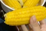 Người phụ nữ 60 tuổi mắc tiểu đường giấu bác sĩ ăn ngô ngọt mỗi ngày, 6 tháng sau bị hỏi: "Bà đã ăn gì vậy?"