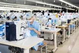 TP.HCM quá tải vì phải xử lý hàng ngàn hồ sơ cấp giấy chứng nhận xuất xứ từ tỉnh khác