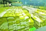 Gạo Việt Nam, Thái Lan bất ngờ bị một đối thủ mới vượt mặt tại Philippines, mới xuất hiện đã được trả giá cao kỷ lục